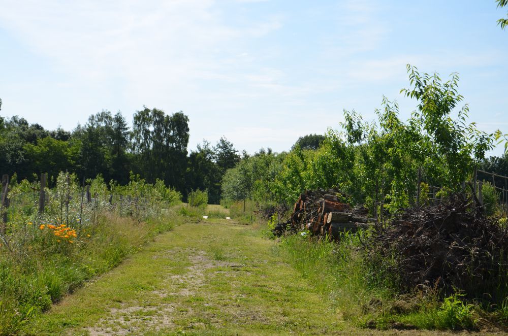 Locatie met meerwaarde De Fruitproeverij in Rijswijk (Betuwe) 