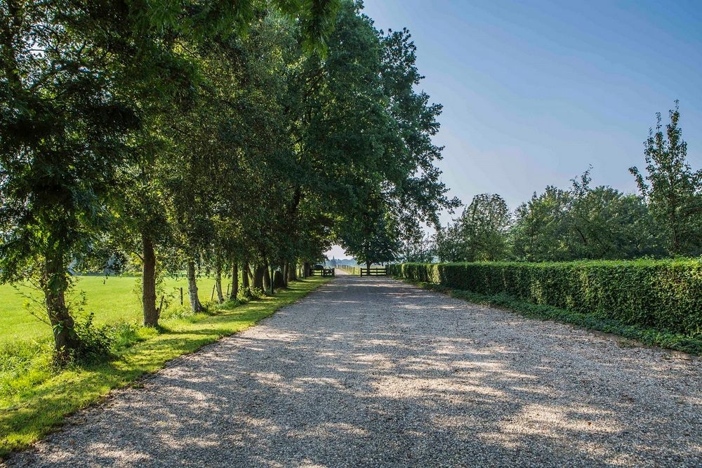 Locatie met meerwaarde Hoeve Sparrendam in Hoevelaken 