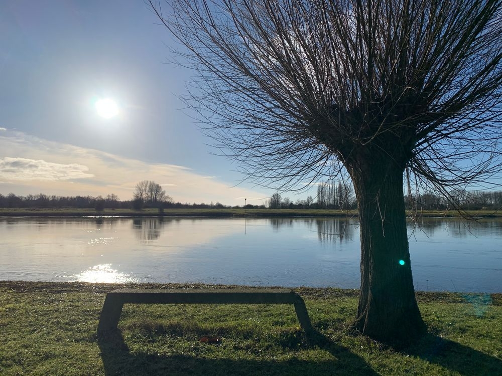 Locatie met meerwaarde Ecolodges  't Lennepserf in Veessen 